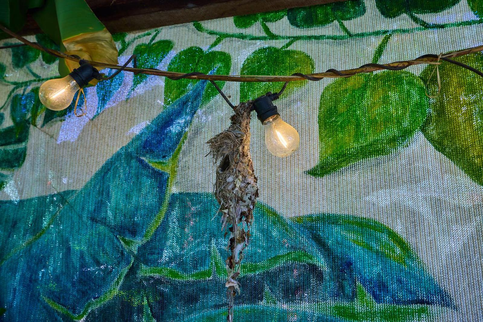 On The Wallaby Eco Lodge Yungaburra Exterior foto