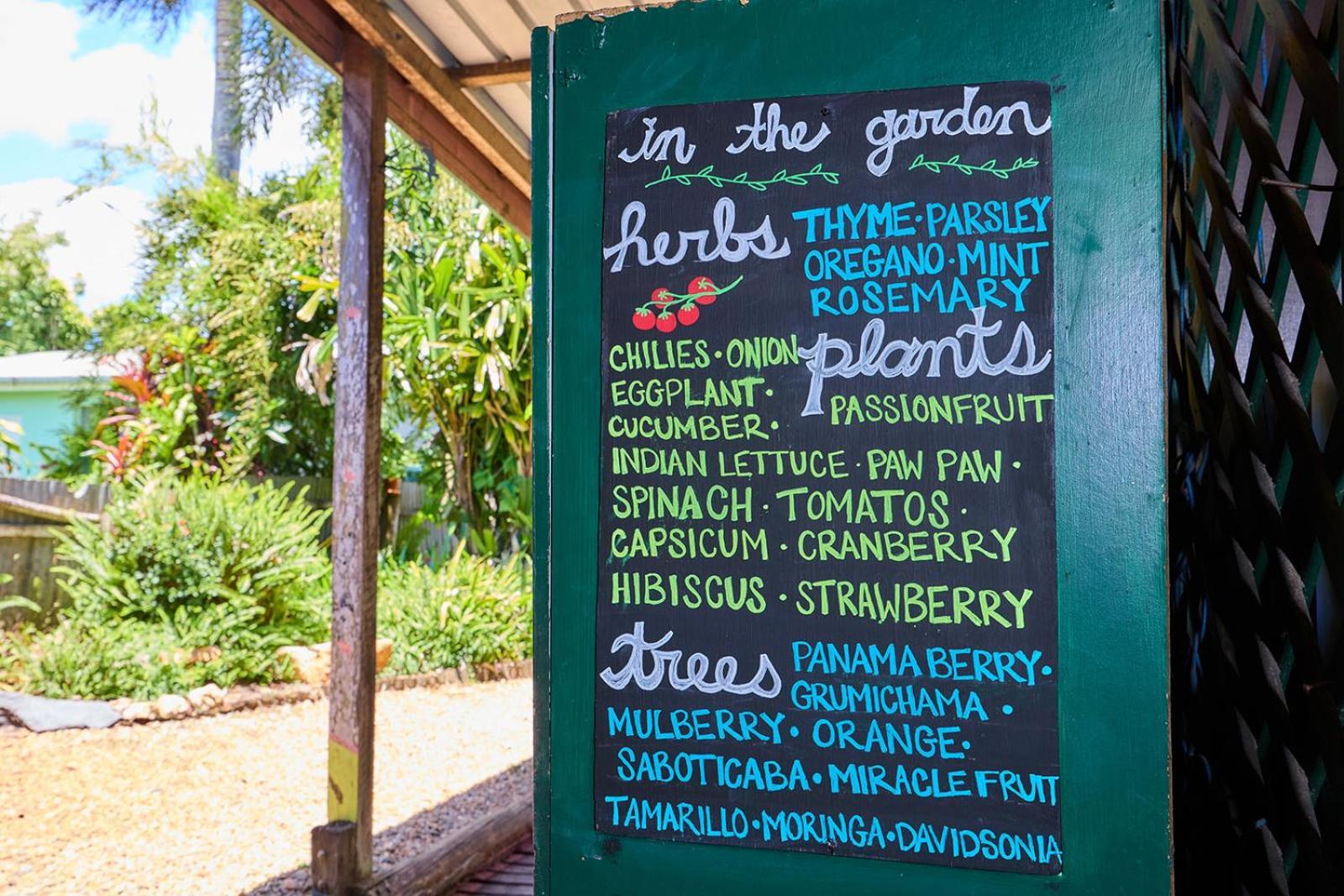 On The Wallaby Eco Lodge Yungaburra Exterior foto